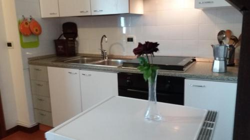 a vase with a flower on a counter in a kitchen at Dreon B&B in Portogruaro