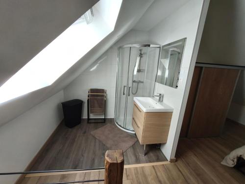 a bathroom with a sink and a shower at La Maisonnette Montlouisienne in Montlouis-sur-Loire