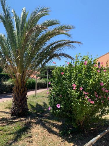 Cocon Canet Sea, Pools Air Conditioning