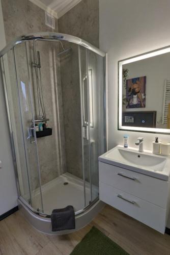 a bathroom with a shower and a sink at Tinyhouse Nelson in Papenburg