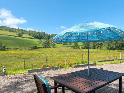 a picnic table with a blue umbrella on a field at Ridge View Lodge - Uk49924 in Dumfries