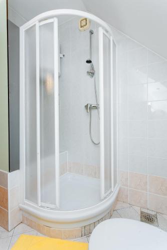 a shower in a bathroom with a glass door at Apartments Prekmurska vas - Vital Resort in Moravske Toplice