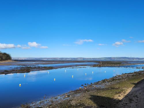 a body of water with ducks in the water at Quay Cottage in Cramond