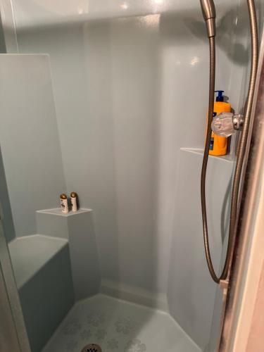 a bathroom with a shower with a glass door at Home near the redwoods in Fort Bragg