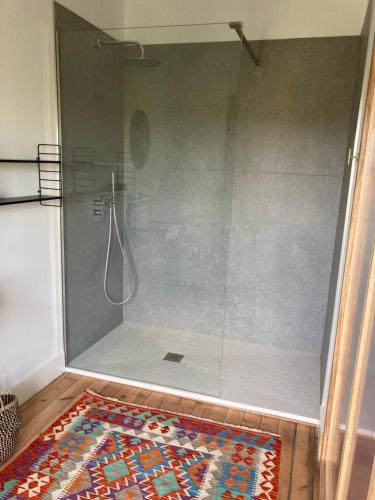 a shower with a glass door and a rug at Maralocquet in Barbezieux-Saint-Hilaire