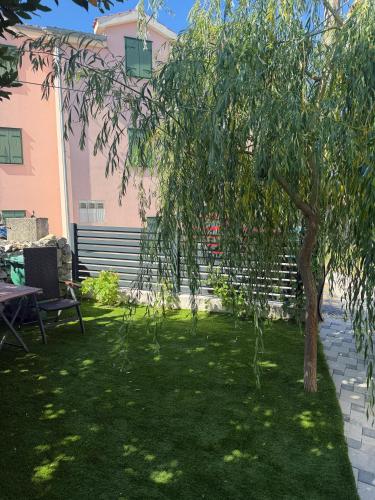 a tree in the middle of a yard with a bench at Apartman Donadina-Dalmatian heritage house in Trogir