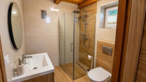 a bathroom with a shower and a sink and a toilet at Domek na Modyni, Dwa domki z ruską balią i sauną in Łącko