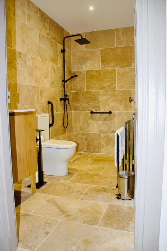 a bathroom with a shower and a toilet and a sink at Château Lagelouse in Mimbaste