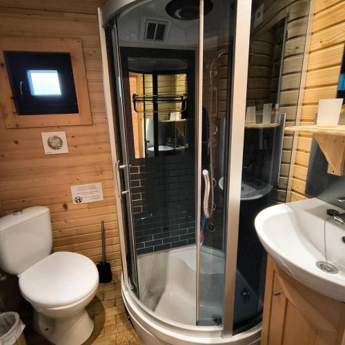 a bathroom with a shower and a toilet and a sink at La Girouardière in La Flèche