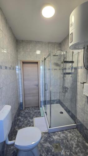 a bathroom with a shower and a toilet and a sink at Apartment Labin in Labin