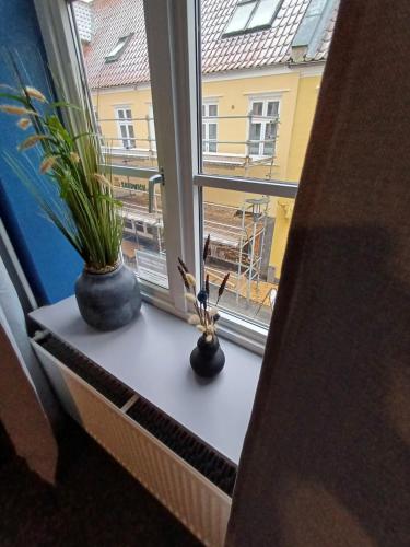 a window sill with two vases and plants on it at Blue Double Room 6 on pedestrian street Saeby in Sæby