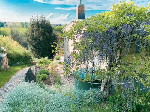 ein Garten mit lila Blumen in einem Eimer in der Unterkunft WEINQUARTIER Kalter Hügel 70 qm Garten Lagerfeuer Pool Terrasse Parkplatz in Naumburg