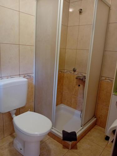 a bathroom with a toilet and a shower at Matteo in Supetarska Draga