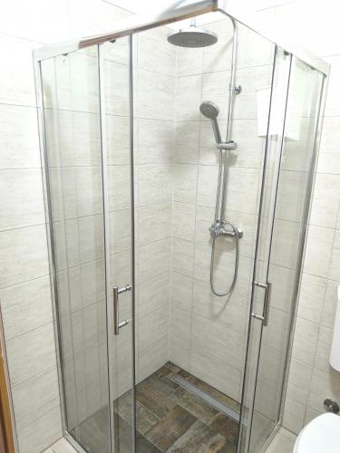 a shower with a glass door in a bathroom at Slanraj apartman in Jadrtovac