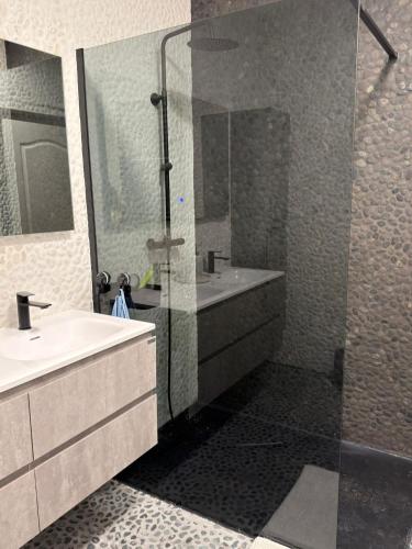 a bathroom with a shower and a sink and a mirror at Berckenhof in Heusden - Zolder