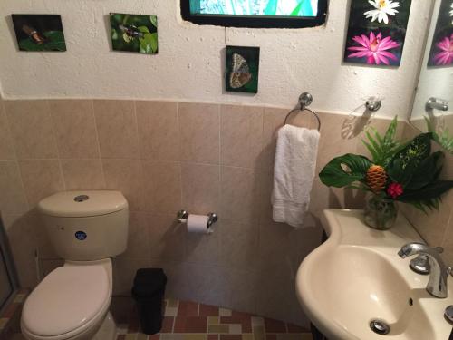 a bathroom with a toilet and a sink at Reserva Biologica Caoba in Bonda