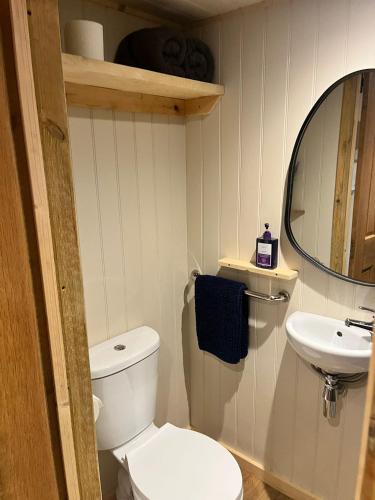 a bathroom with a white toilet and a sink at Half Moon Shepherds Huts in Plumpton
