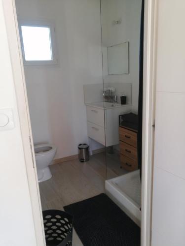 a bathroom with a shower and a toilet and a sink at Marina & Alex in Château-Gaillard
