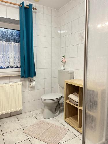 a bathroom with a toilet and a blue shower curtain at Ferienhof Tödter in Schneverdingen