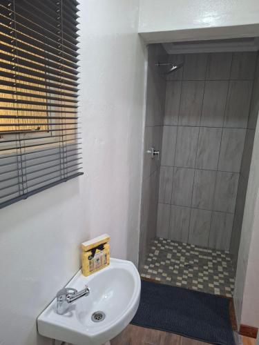 a bathroom with a sink and a shower at Steijn Apartment 1 in Standerton
