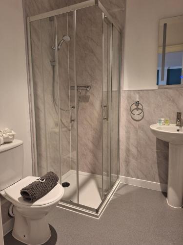 a bathroom with a shower with a toilet and a sink at Care Ashore Guest Rooms in Cranleigh