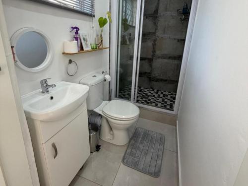 a bathroom with a toilet and a sink and a shower at 47 on Cleland in Pietermaritzburg