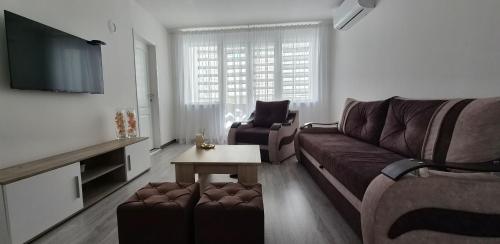 a living room with a couch and a tv at S Apartman Vrdnik in Vrdnik