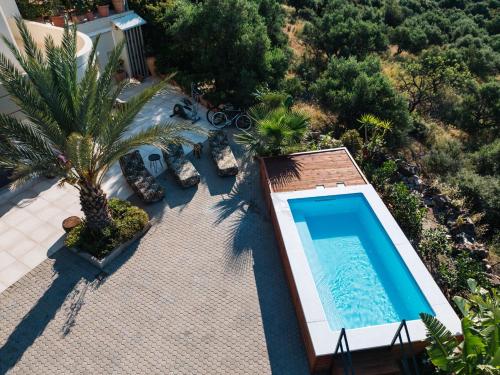 Homey Comfort and Elegance at Olive Grove!