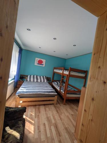 a bedroom with two bunk beds and blue walls at Noclegi u Kanara in Lutowiska