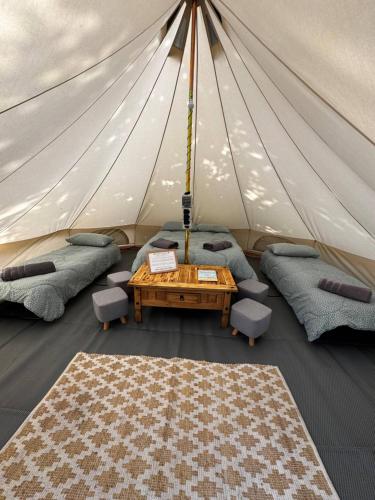 a tent with couches and a table in a room at Polladras Holiday Park in Helston