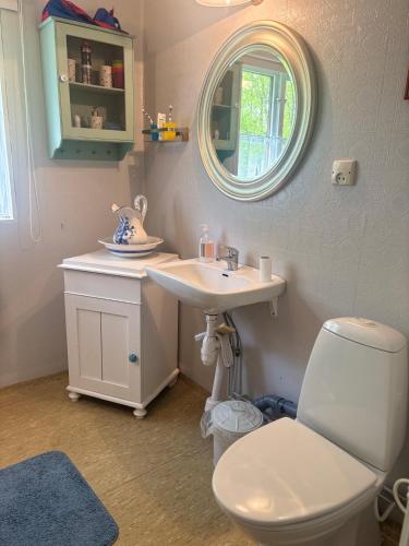 a bathroom with a toilet and a sink and a mirror at Hus Rusken in Stockaryd