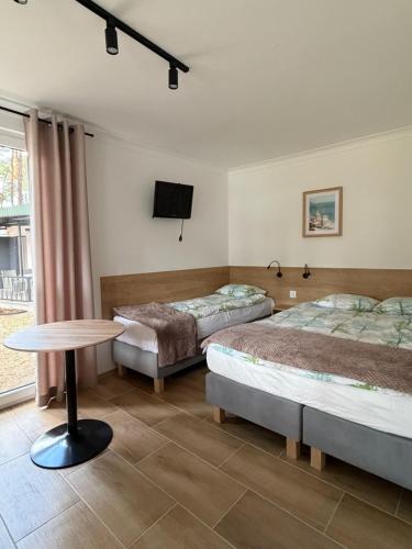 a room with two beds and a table and a tv at Hotel Eljot in Sielpia Wielka