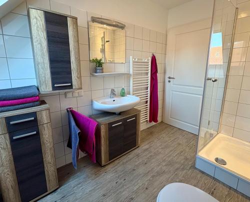 a bathroom with a sink and a shower at Alte Schule Breese in Dannenberg