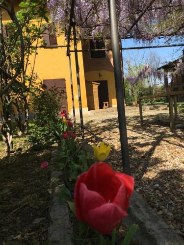 a red flower in front of a building at Fondo Giardinetto in San Cesario sul Panaro