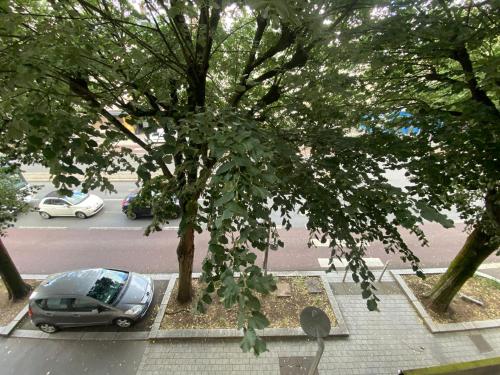 Charmant studio tout équipé au cœur de la ville - 452