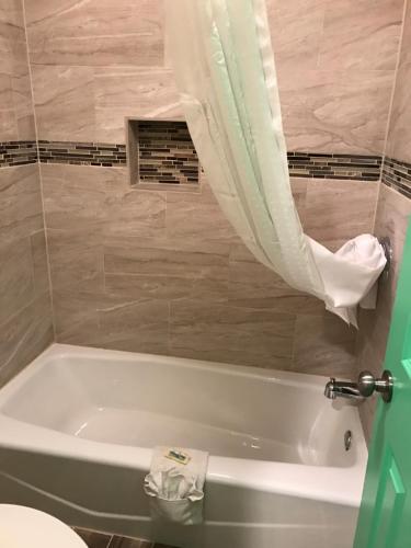 a bath tub in a bathroom with a shower curtain at Budget Inn in Sedalia