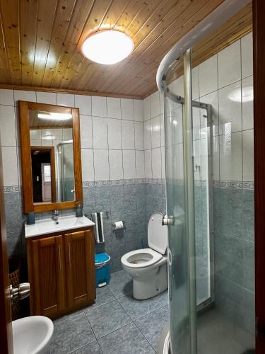 a bathroom with a toilet and a sink and a shower at Retiro dos Cabritos in São Mateus