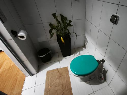 a bathroom with a green toilet and a plant at Cantinho da Jessi in São Vicente