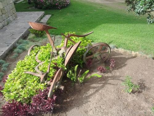 a bike in a bed of plants in a garden at Hotel Hacienda Abraspungo in Riobamba