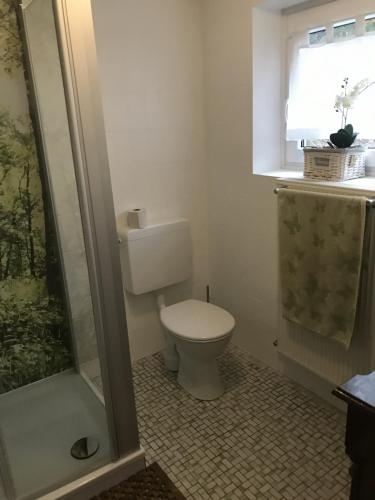 a bathroom with a toilet and a window and a shower at Kleiner Fuchsbau in Kleinern