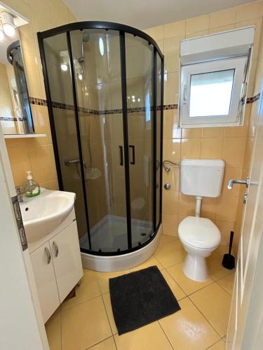 a bathroom with a shower and a toilet and a sink at Apartments Duda in Vir