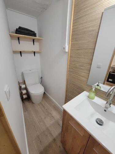 ein Badezimmer mit Toilette, Waschbecken und Spiegel in der Unterkunft Rustic ABAT 18 in Puigcerdà