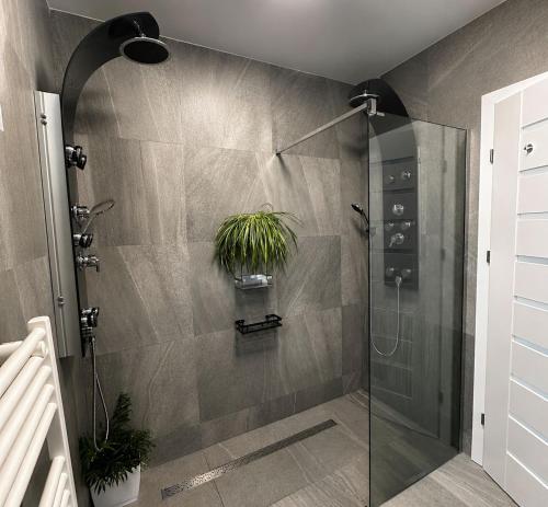 a bathroom with a shower with a plant in it at Casa Mediteraneana Verde in Alba Iulia