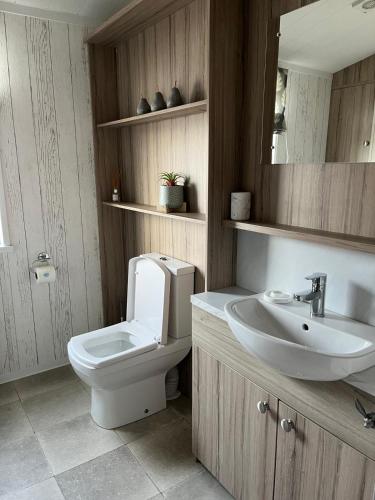 a bathroom with a toilet and a sink at Edmonton Lodge in Clitheroe