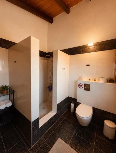 a bathroom with a toilet and a shower at SkyVista Villa in Iraklitsa