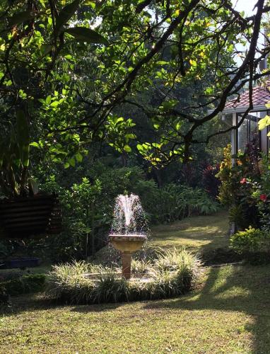 a fountain in the middle of a garden at Aire Libre Descanso in San Francisco