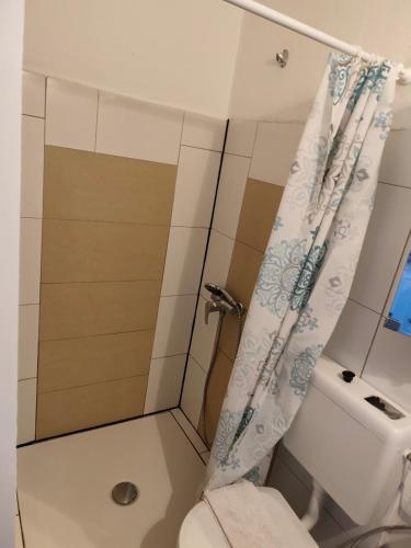 ein Badezimmer mit Toilette und Duschvorhang in der Unterkunft imperial 3 in Leuenberg