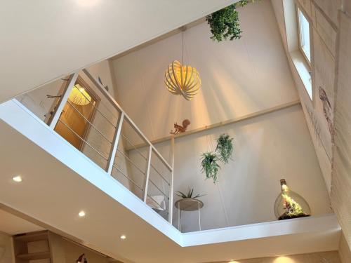 a staircase in a house with glass shelves at Wonderwild C79, Dog Friendly in Lanaken