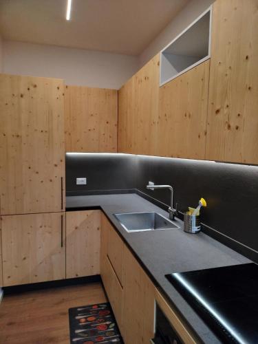 a kitchen with a sink and wooden walls at Casa Silva in Pieve Tesino