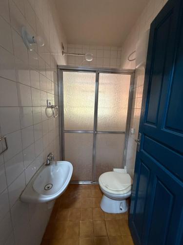 a bathroom with a toilet and a sink and a shower at Sítio São Roque in São Roque